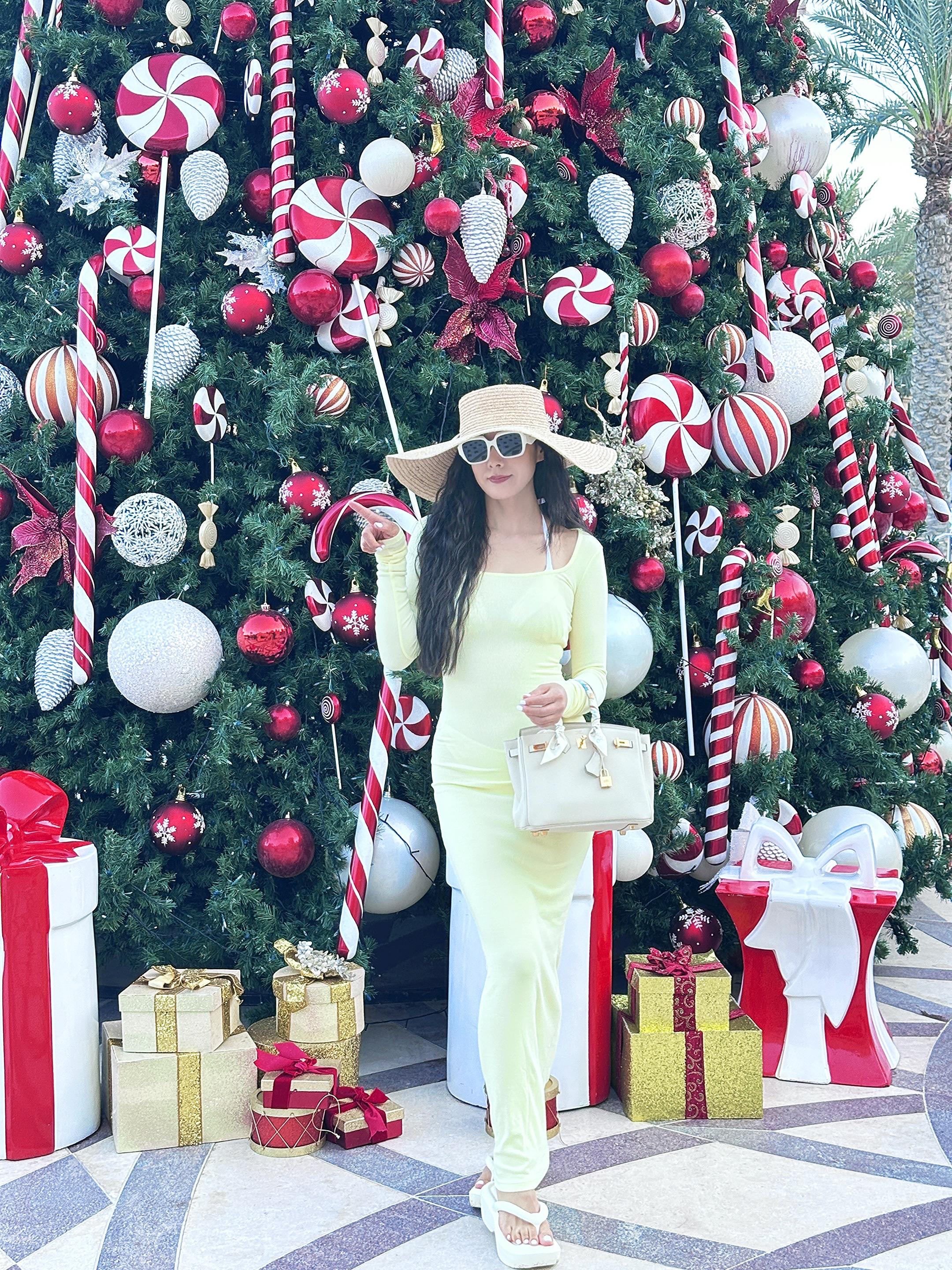 圣诞快乐🧑‍🎄。