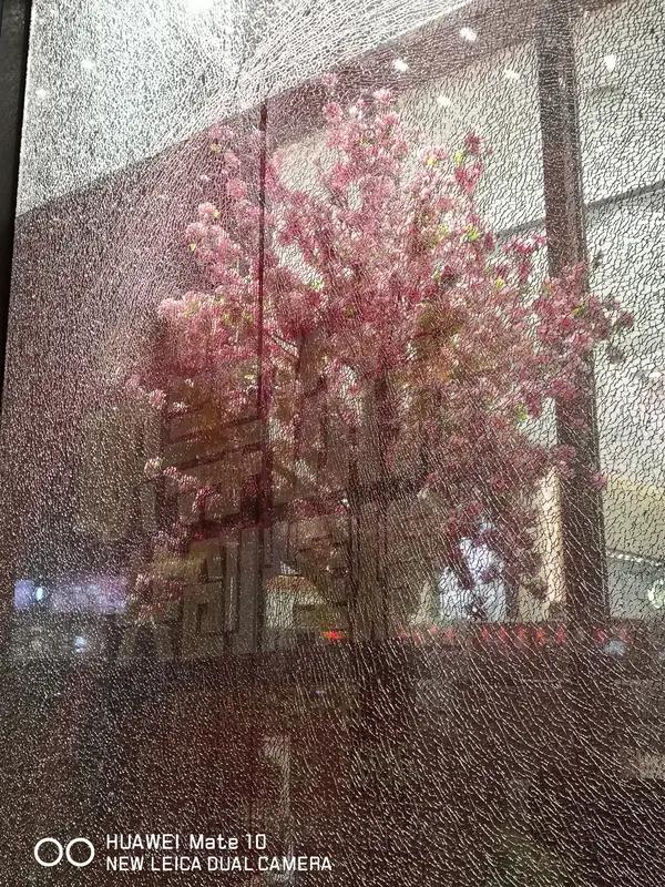 门店玻璃门被砸能不能报警拘留对方，得看具体情况。
如果情节较轻，比如只是小冲突下