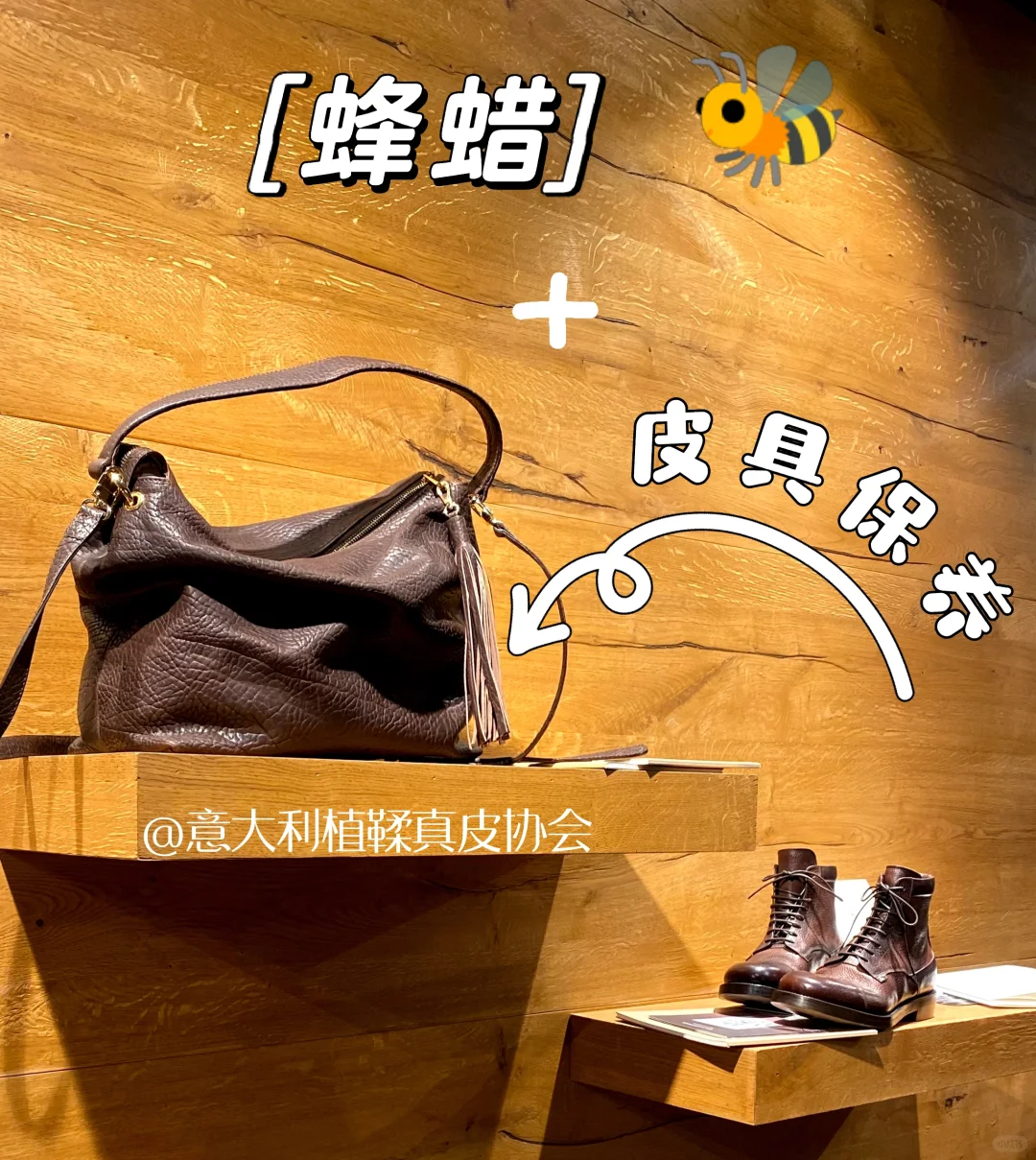 蜂蜡小课堂[二R]