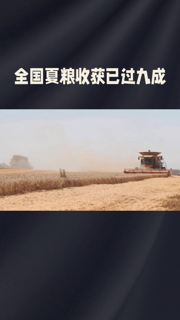 夏粮丰收已成定局，但这场胜利是如何从多重气象灾害中“抢”出来的？
据农业农村部最