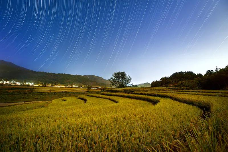 远山叠翠映蓝天，
稻浪铺金望无边。
乡间小路通幽处，
竹林狗吠现炊烟。     