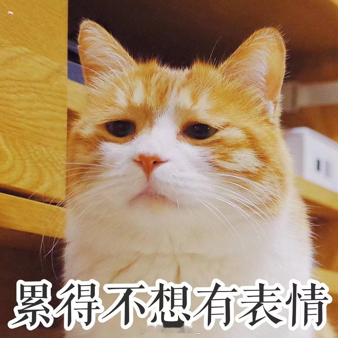 以前总有人给我评论说控制饮食难，我现在特别理解朝九晚五上班的群体，为什么减肥那么