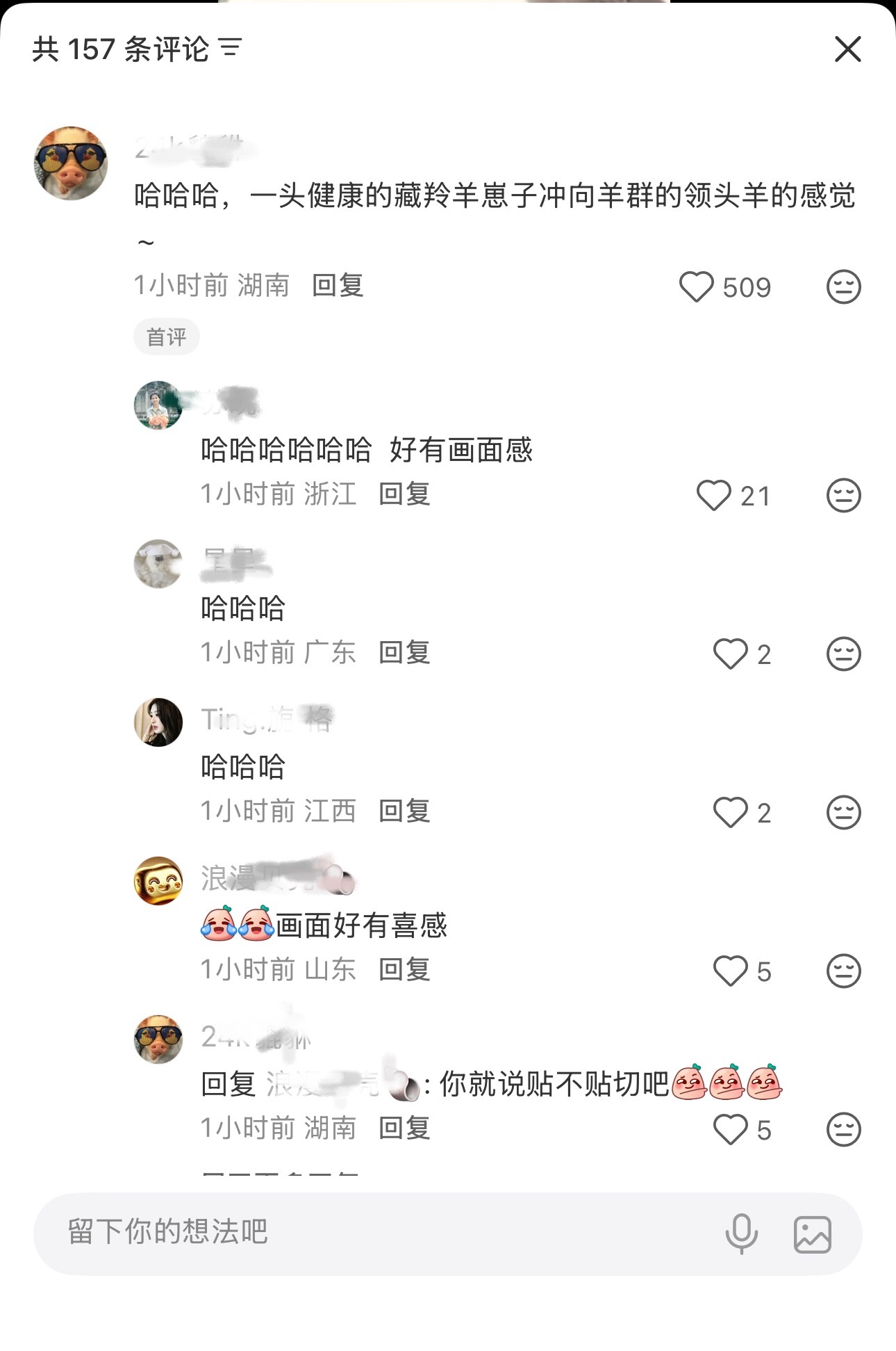 杨紫飞奔拥抱胡歌生命树剧组都是真诚美好的人！有个评论挺有意思的，“一头健康的藏羚