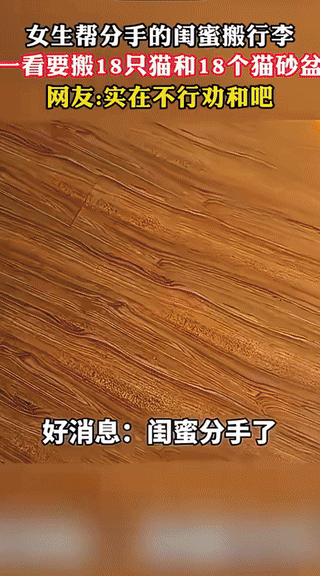 妈咪分手了，可坐着的大狸猫好似一脸无所谓似的，仿佛都习惯了。
十八个猫，一个月至