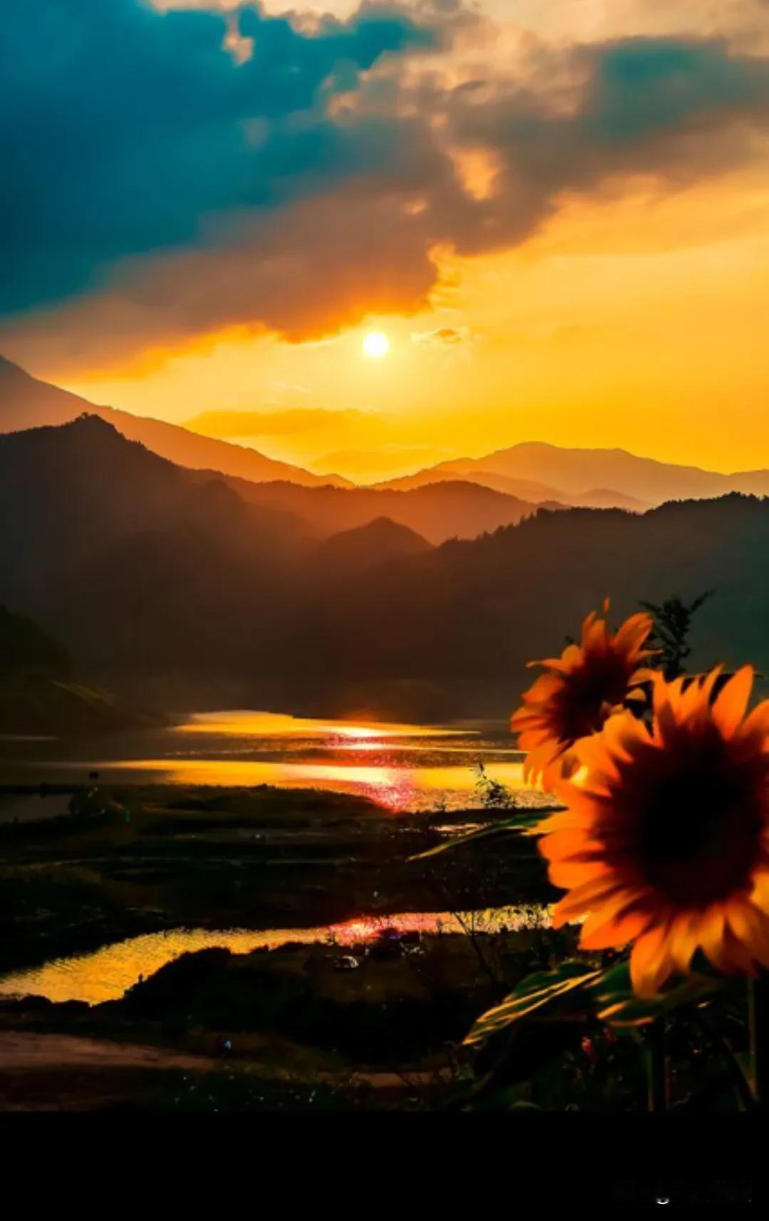 最近的焦虑被这句话治愈了 : “人生是用来体验的，不是用来演绎完美的，我慢慢接受