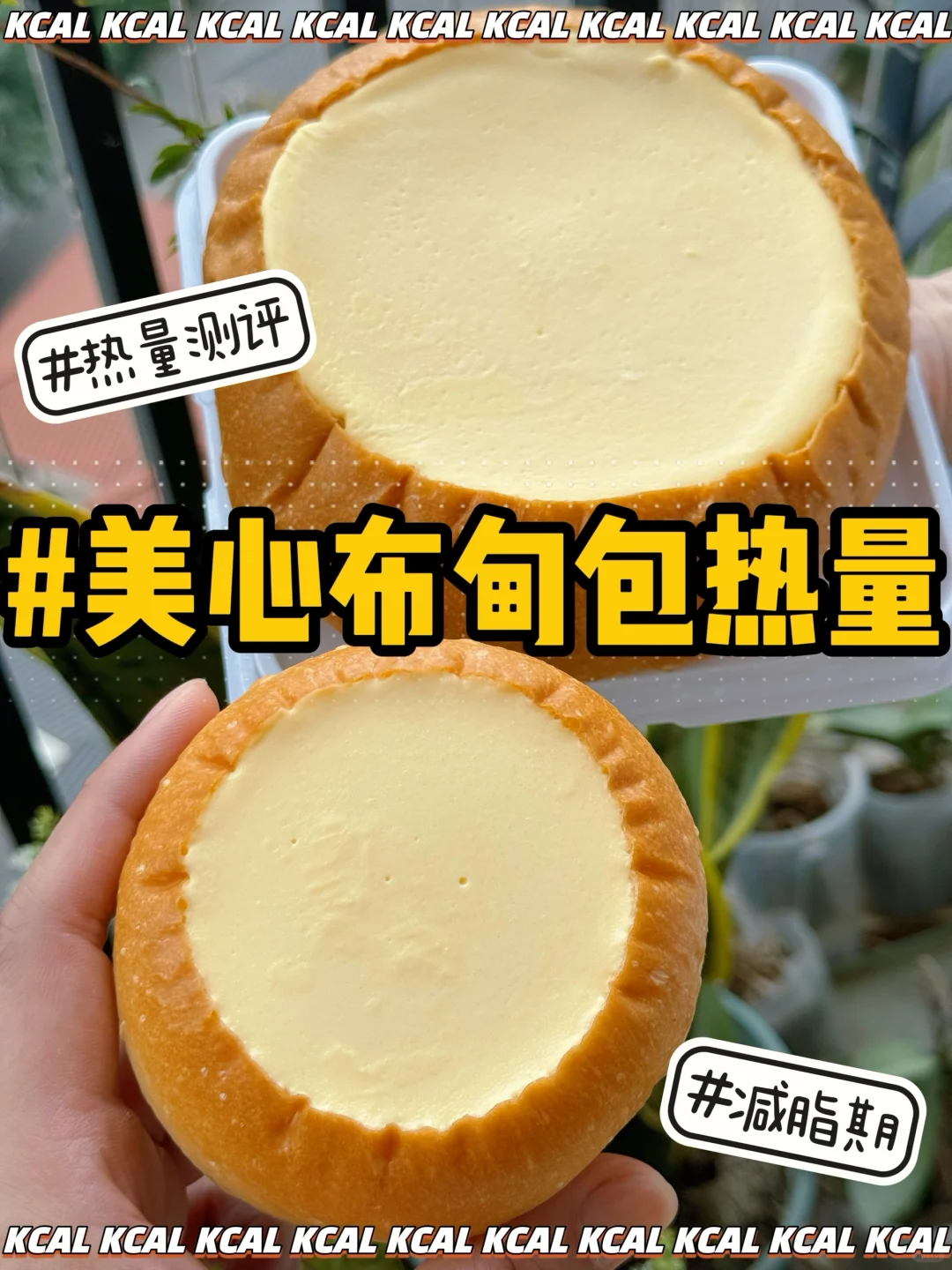 美心热量测评‼️全布丁包家族拆解测评