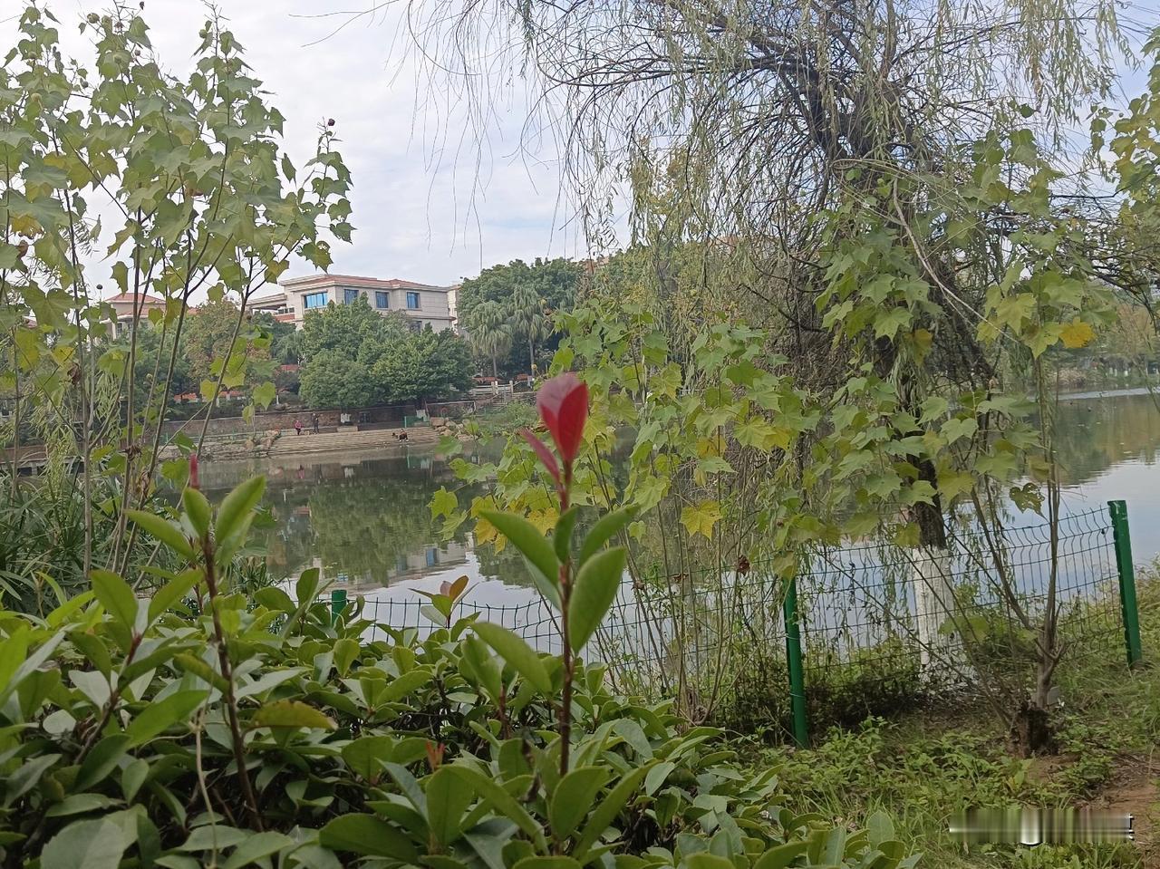 一位已故无产阶级革命家曾说：
“娶个老婆丑，三餐留三口，
饭后百步走，活到九十九