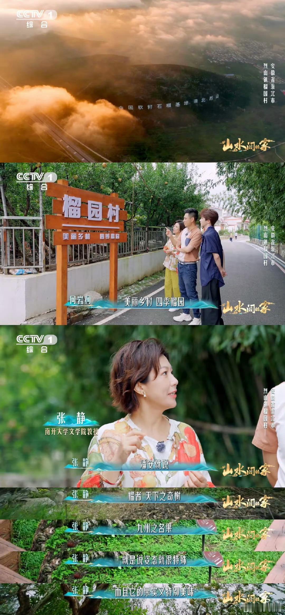 安徽给石榴建了一个博物馆 石榴也有专属博物馆！安徽榴园村为三十多个石榴品种建家，