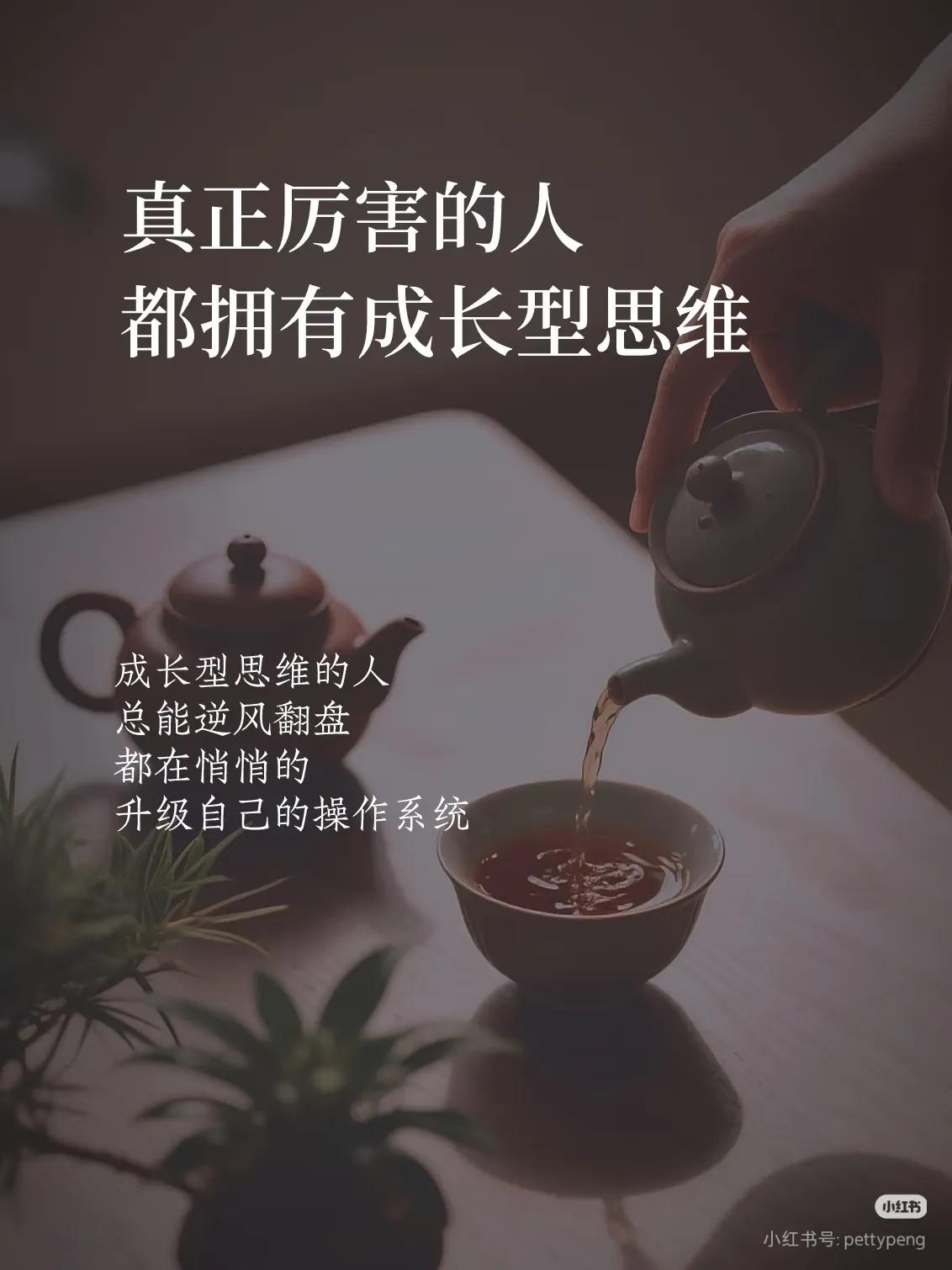 一个人有目的的去做一件事结果分为两种：做成了或没做成。
而一个拥有成长型心态的人