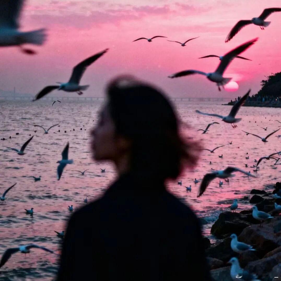 不再纠结“为什么”，不是不在乎，是懂了“没必要”。 