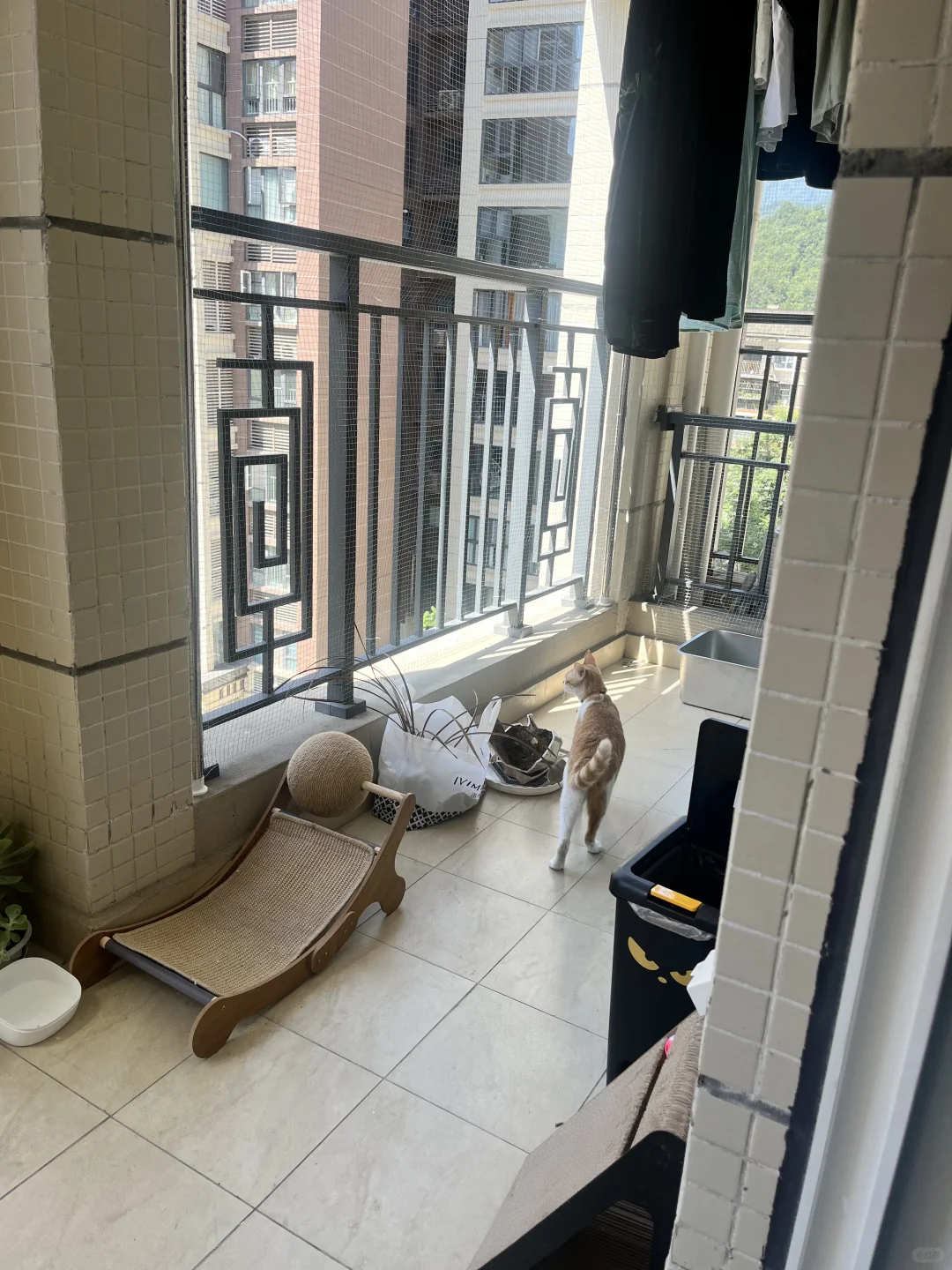 凶手一般会回到自己的作案现场