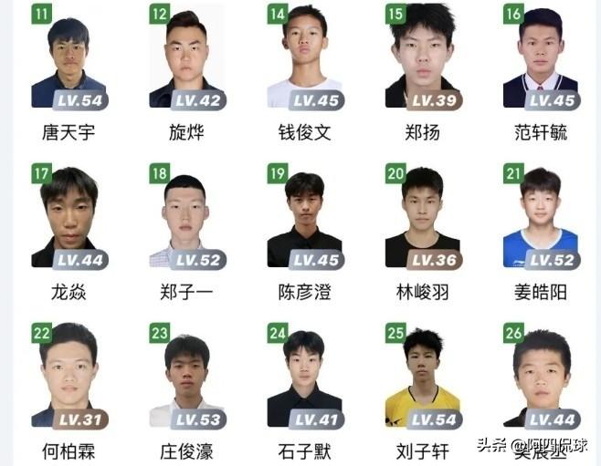 在足球领域，想要做到子承父业真的不容易。例如前国脚郑智的儿子郑子一，此前入选过U