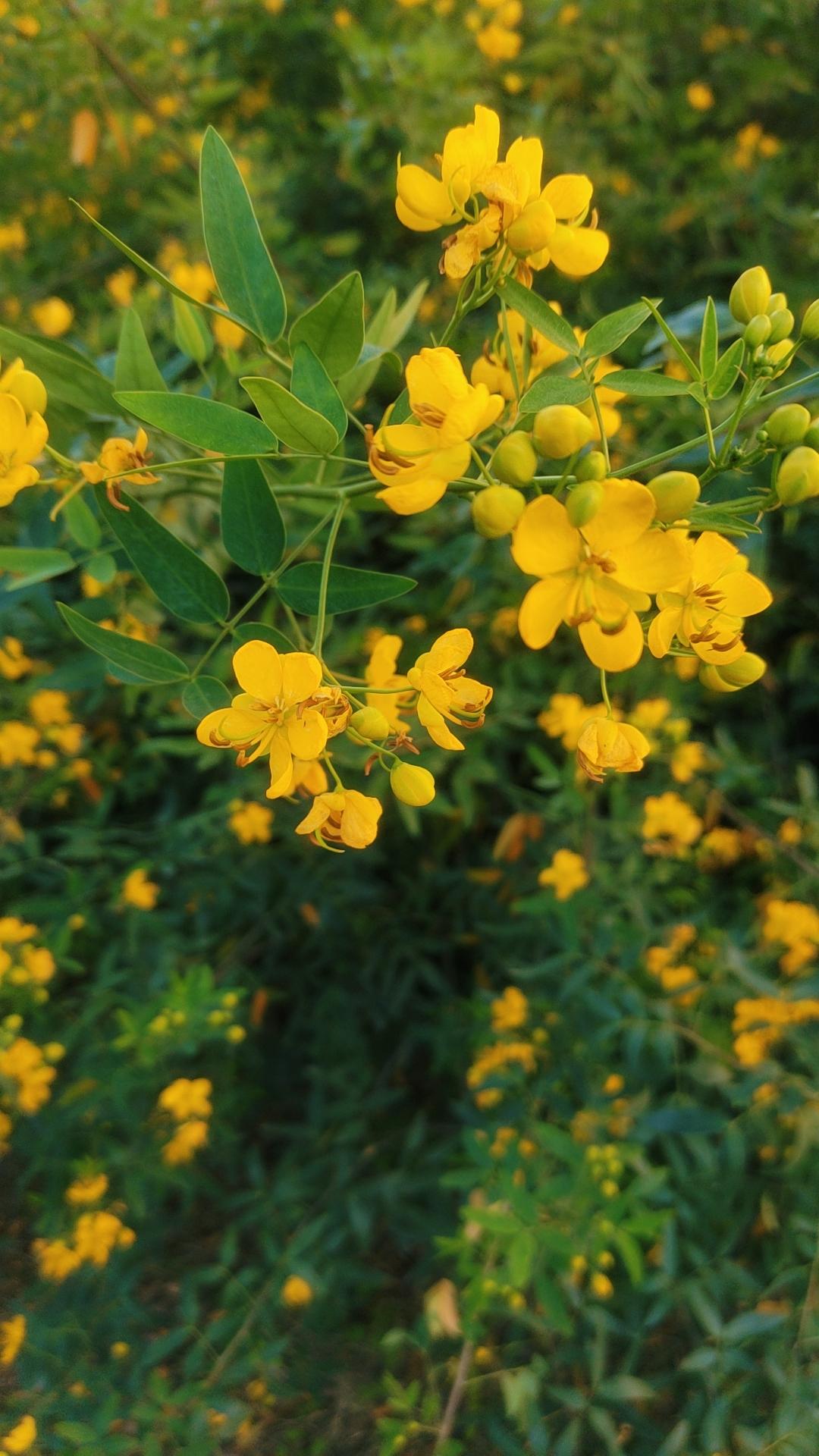 我们家的一个亲戚，结婚前无房无车，为了结婚借钱买了一辆车。

生了小孩后，一岁多