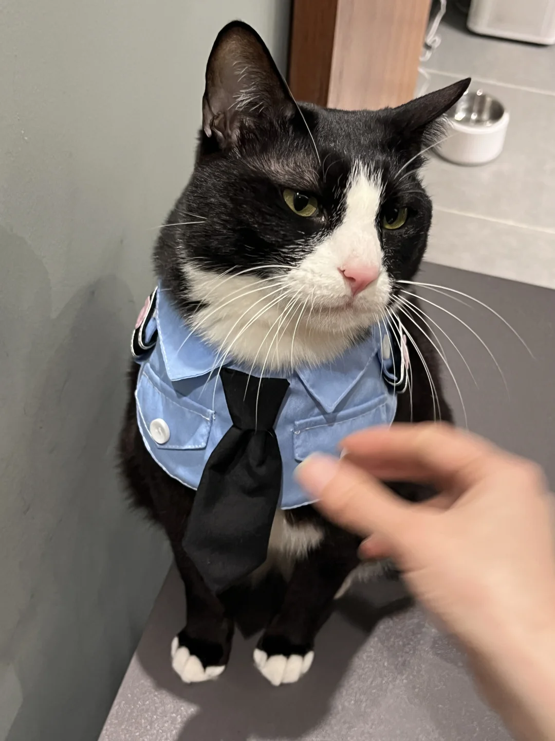 领带之于男咪的意义