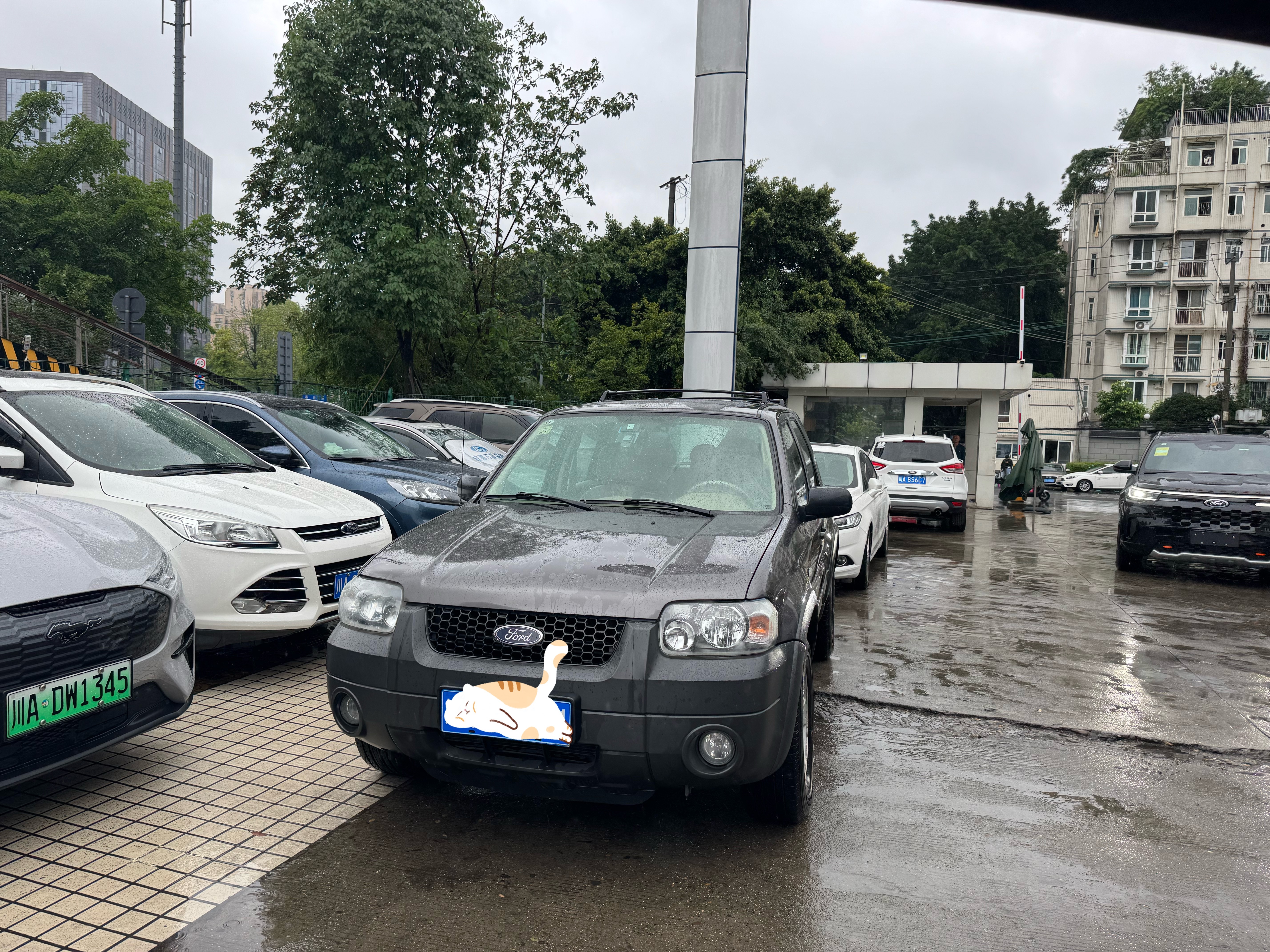 这个翼虎真的保养的好，精致，白色仪表盘复古。汽场全开大v聊车 ​​​