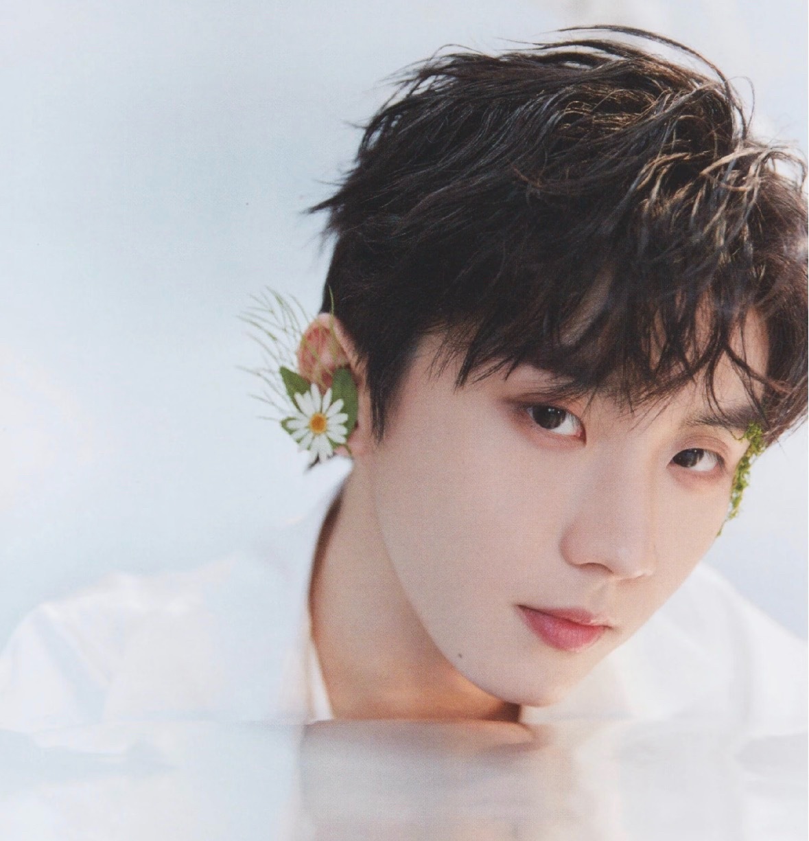 小狗盯盯🫳🏻 