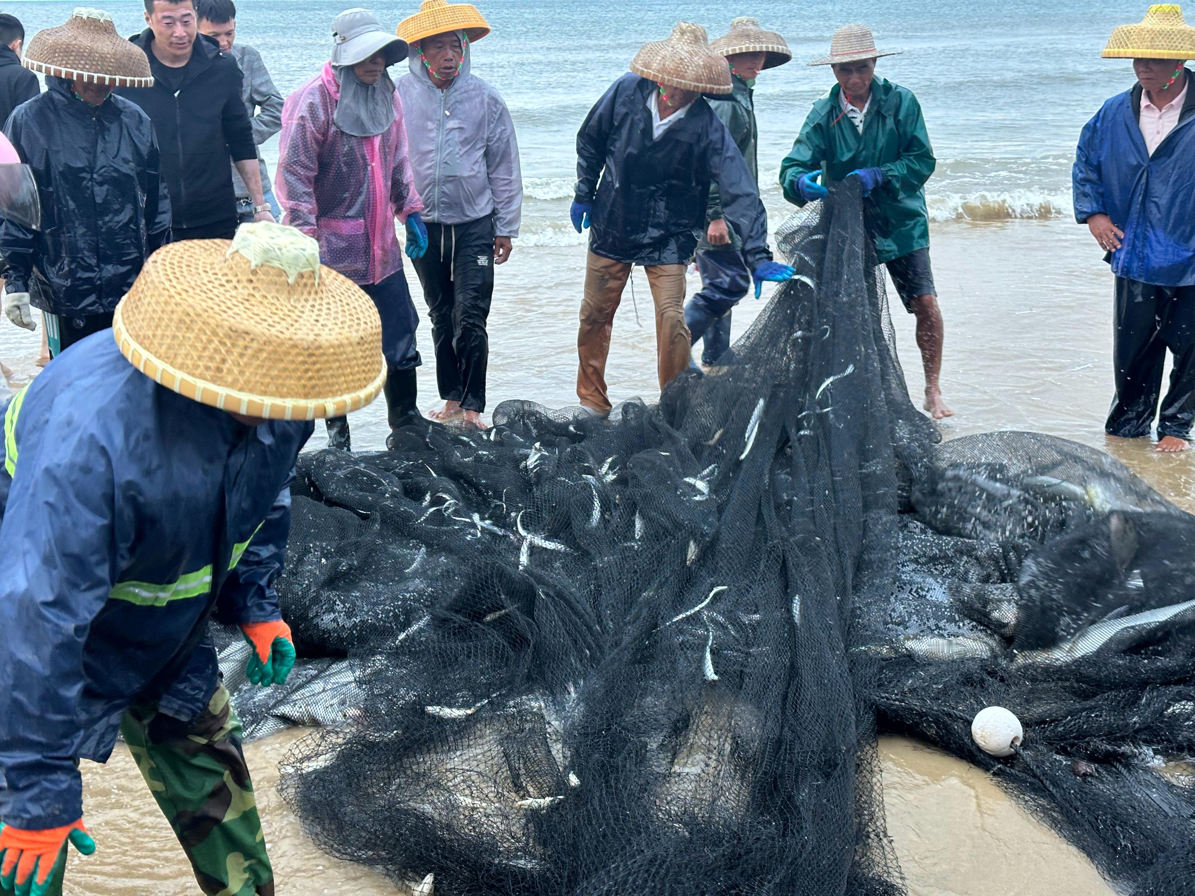 刚忙里偷闲出来海边逛一逛，看到渔民收获满满，鱼儿活泼乱跳，够新鲜都想买一点回去加