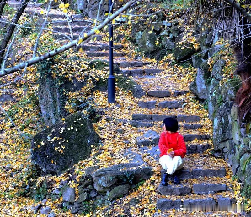看到“秋风古道黄叶飞”，脑海里立马浮现“春雨幽径绿柳舞”。
“春雨幽径绿柳舞”和