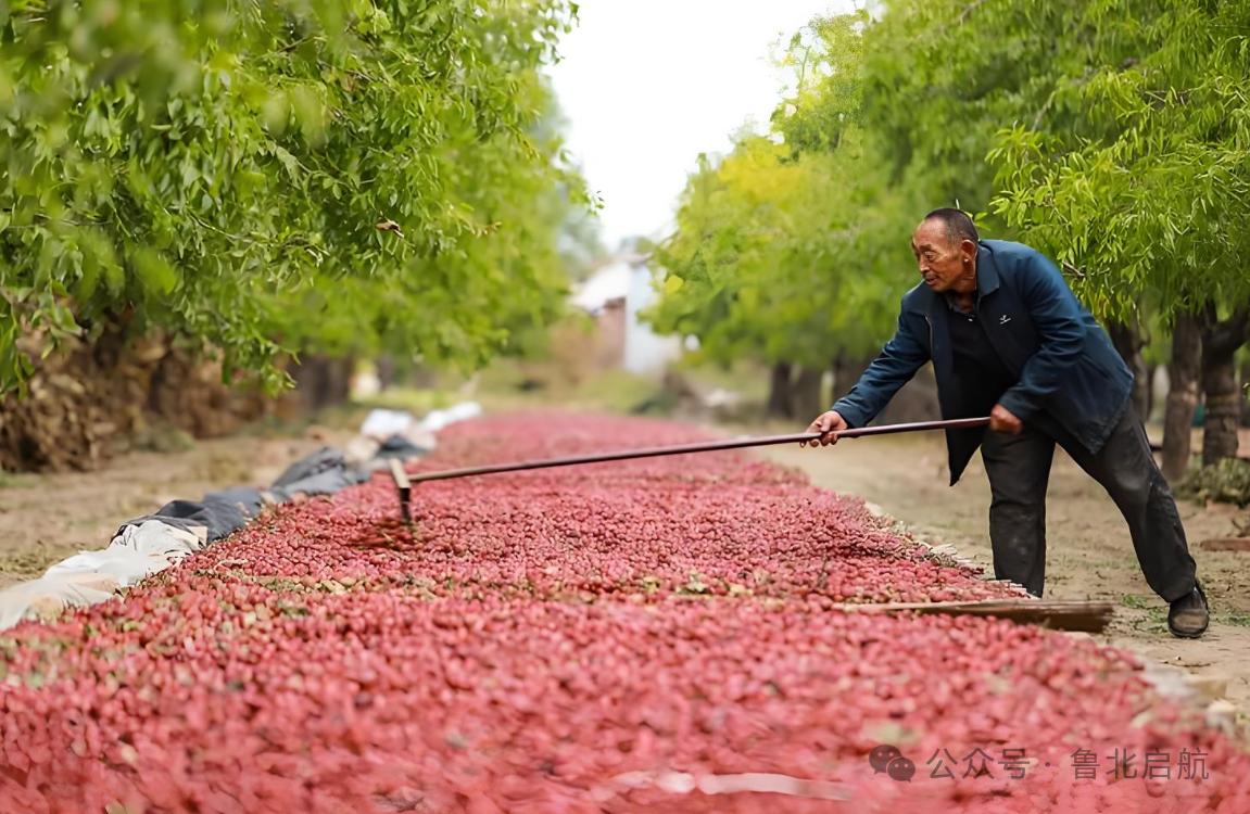 一张图证明秋天来了