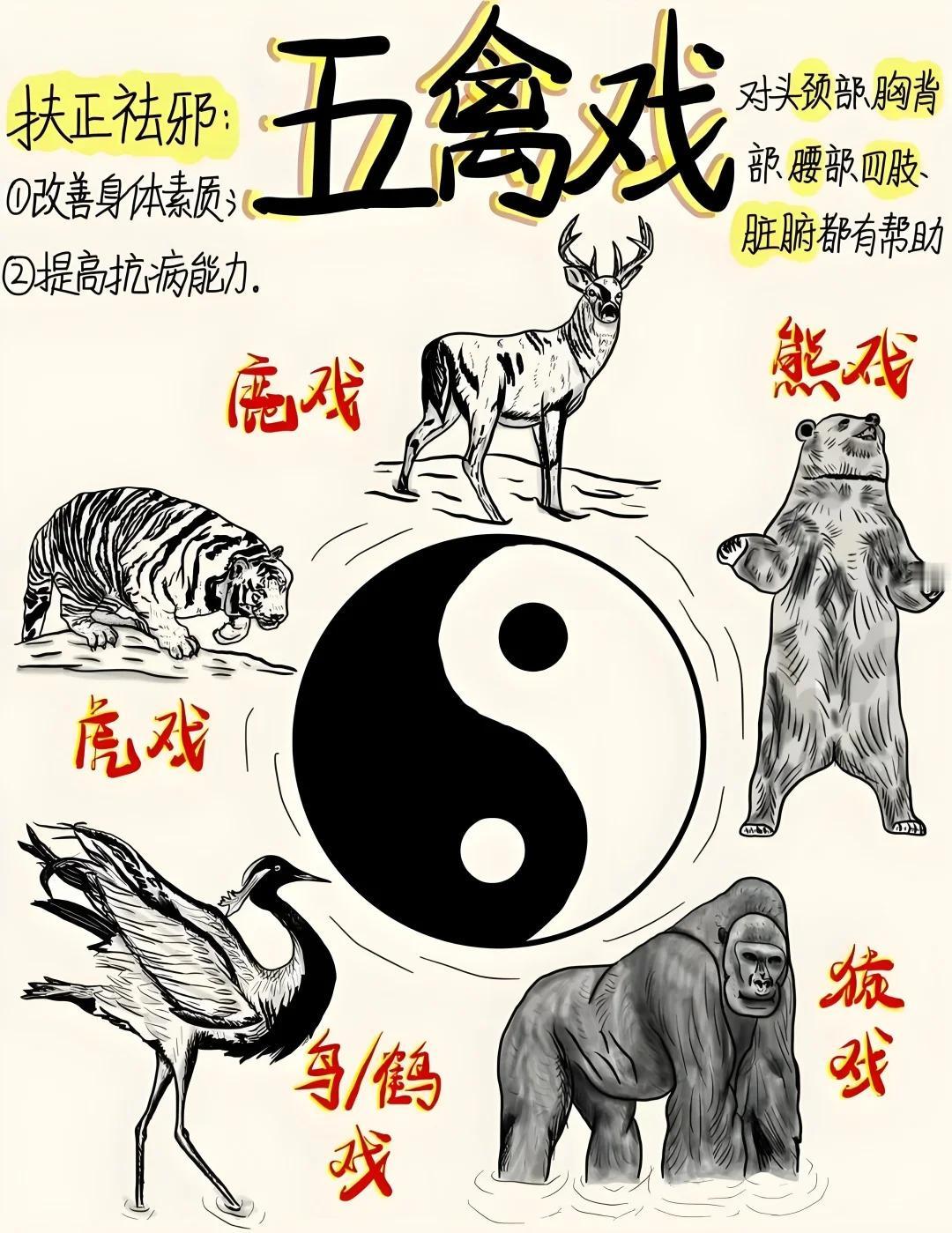 treetree的年轻人有救了，五禽戏一起练起来
1️⃣ 起源与历史 华佗五禽戏