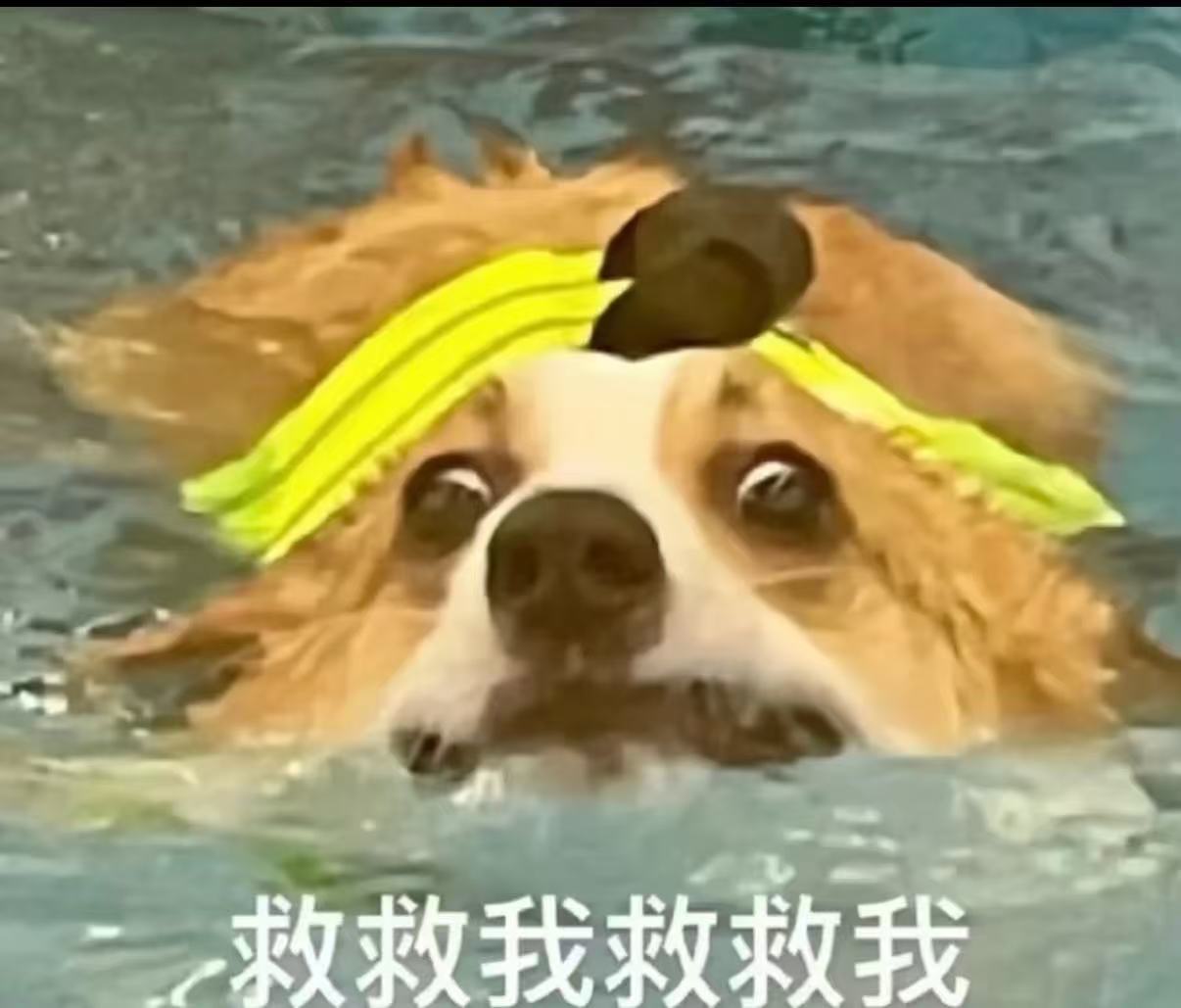广东开启雨雨雨水水水模式周日恰逢雨天☔️，告别外出奔波，窝在家中喝茶追剧，此前干