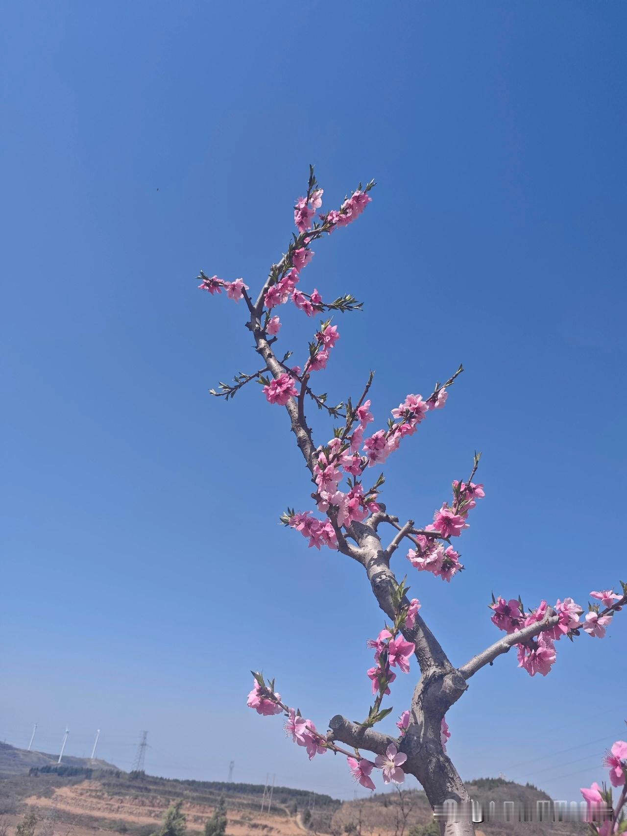 父亲母亲年事已高，在乎金钱还是在乎陪伴，这是一枚硬币的一体两面。没有金钱护持哪来