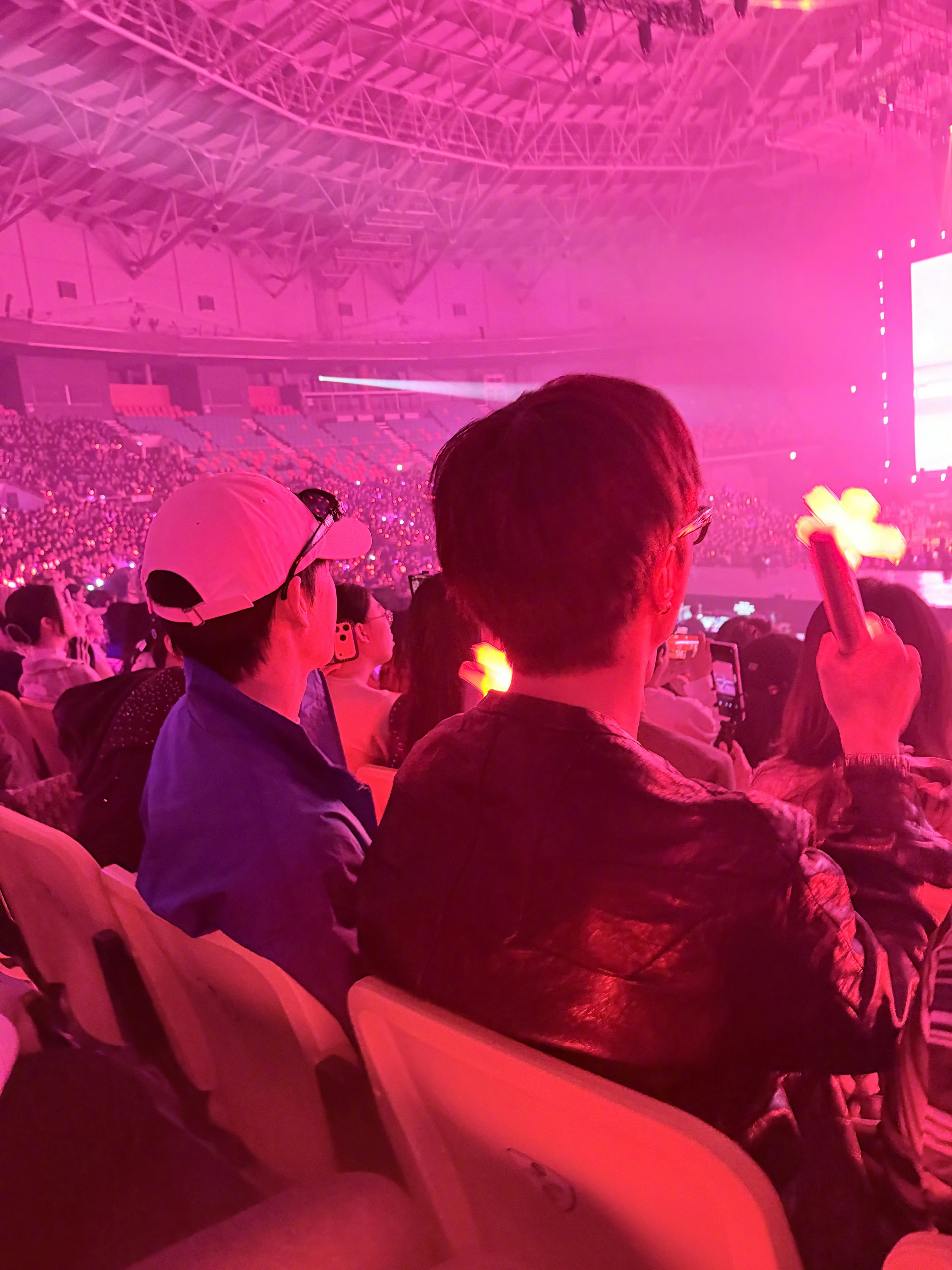 白鹿 我家923923的友谊，好甜啊