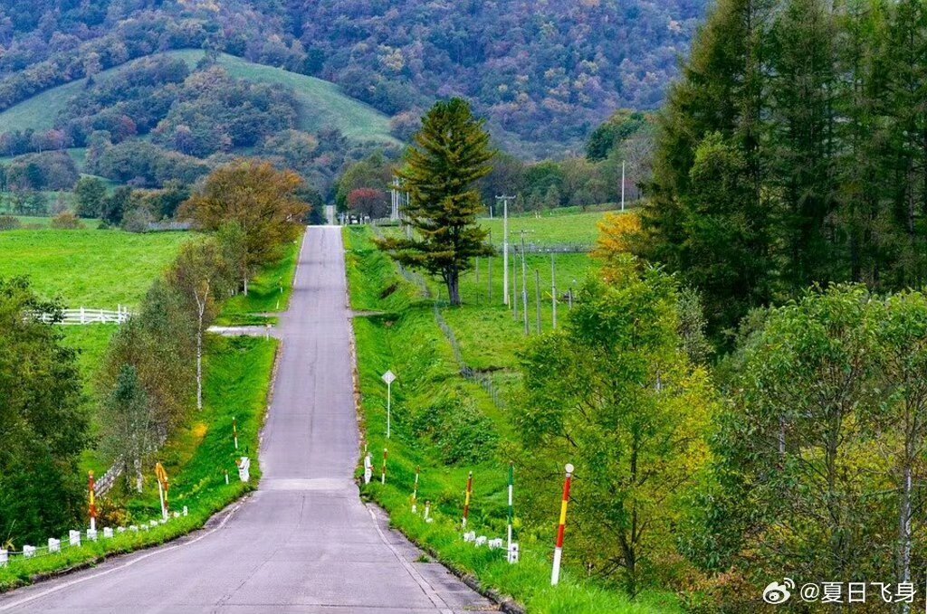 年轻人的出行偏好有多真实从不跟风选择网红出行方式，现在打车需求升级了，出行幸福感