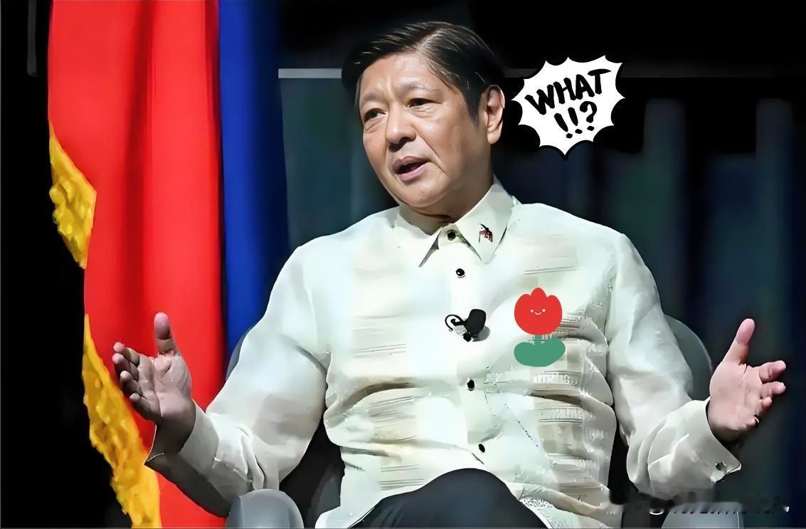 万万没想到！
菲律宾宣布全国进入灾难状态！
台风“海鸥”致500万损失+多地瘫痪