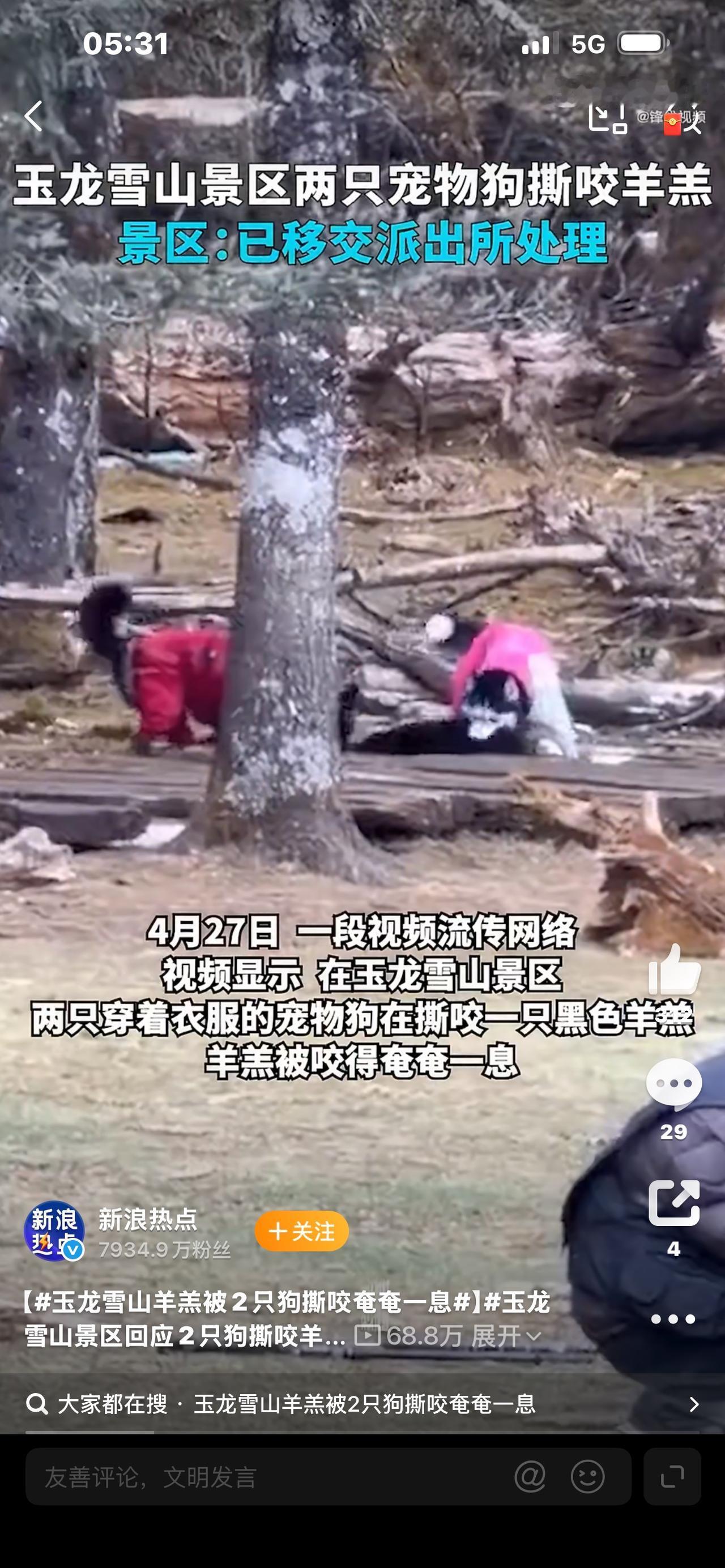 爆火全网！玉龙雪山频繁报警，背后真相太揪

紧急刷屏！玉龙雪山又上热搜了！
这次