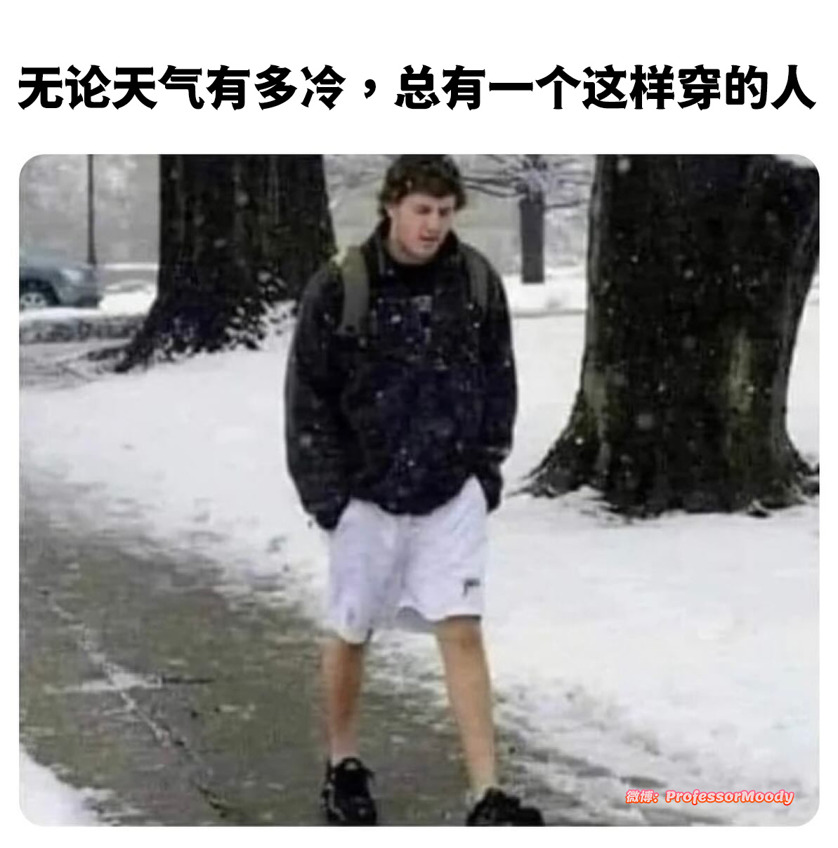 true dat！#meme# /#笑料江湖争霸赛# ​​​