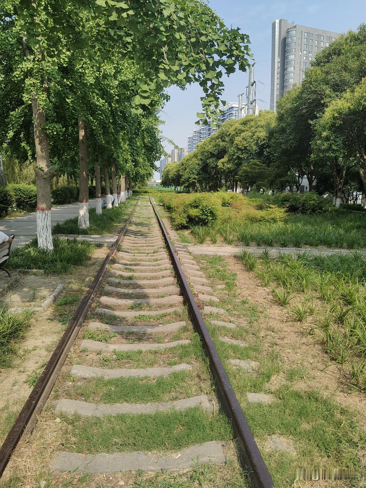 2026年6月26日郑州东风路东北环废弃铁路随拍:
    作为铁路枢纽的郑州，
