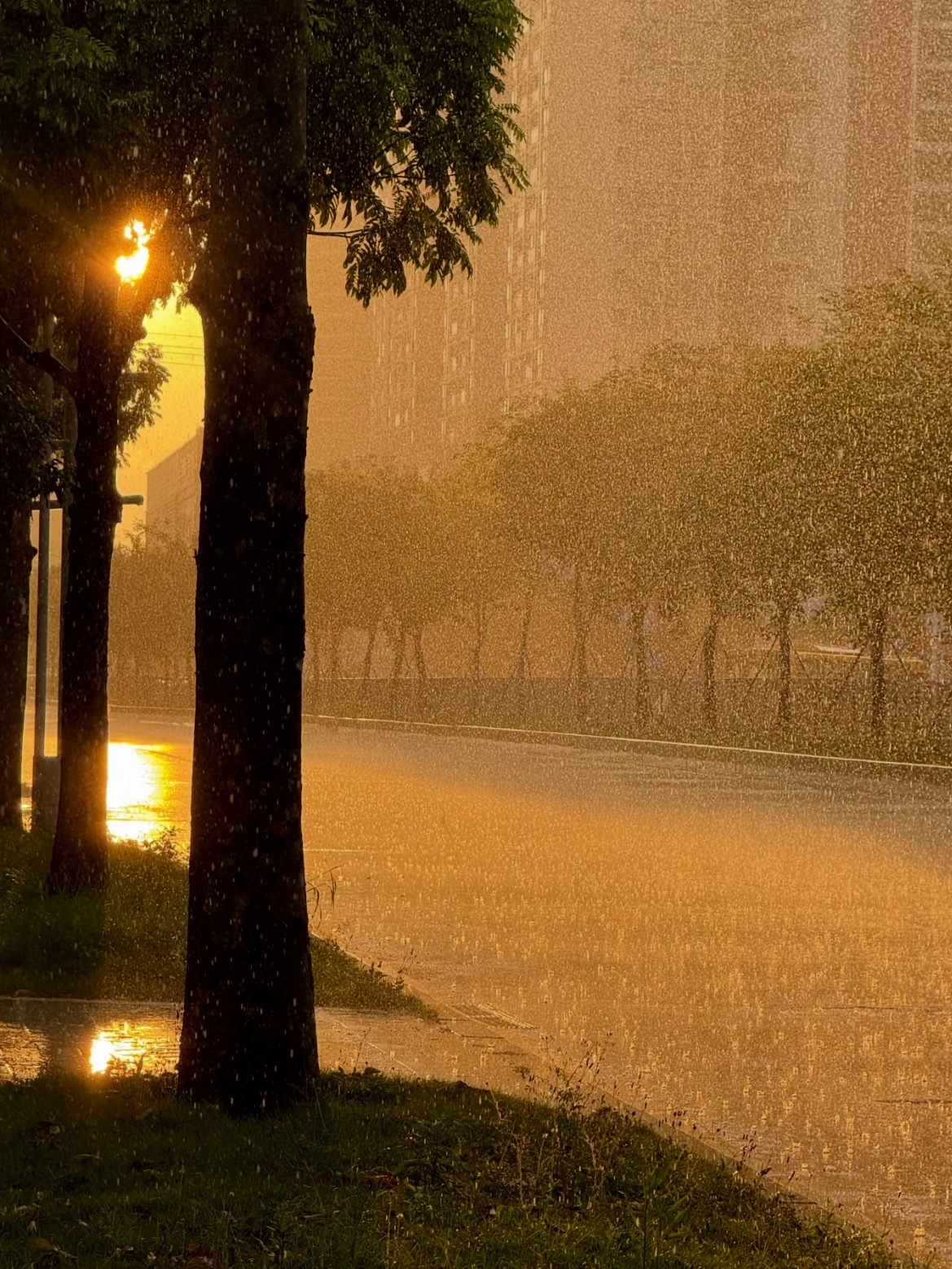 黄昏雨 好美 ​​​