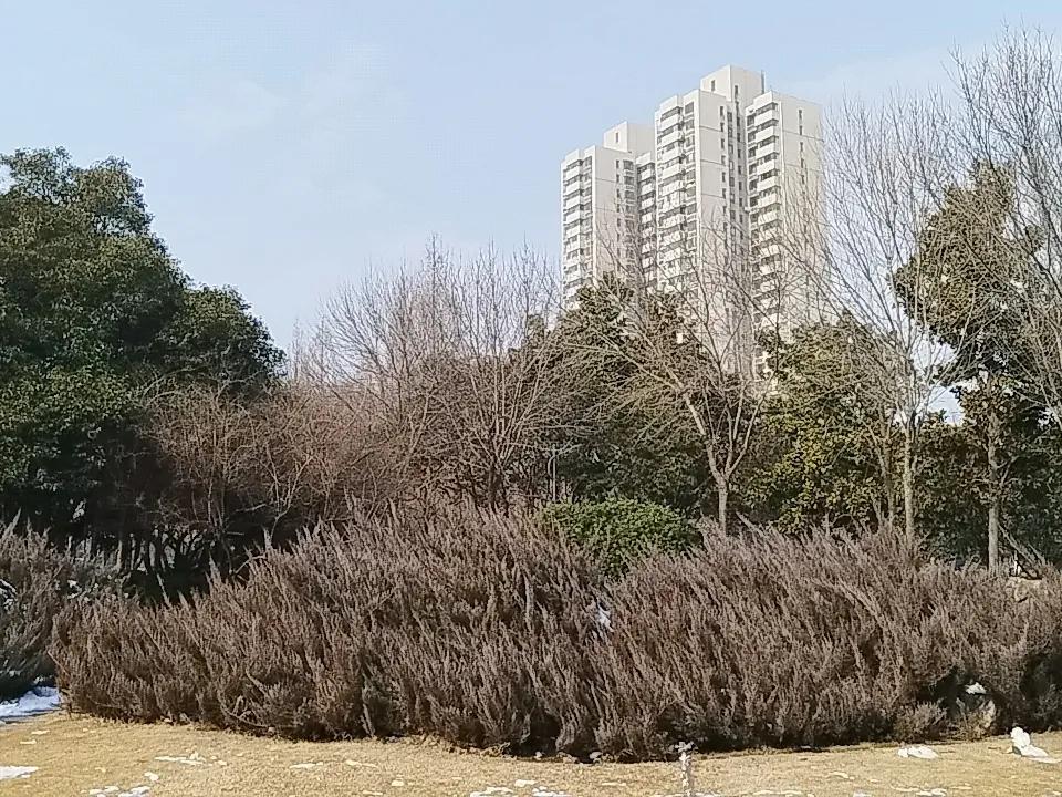 这一年的冷天估计这次之后
不会再有太冷的天气了