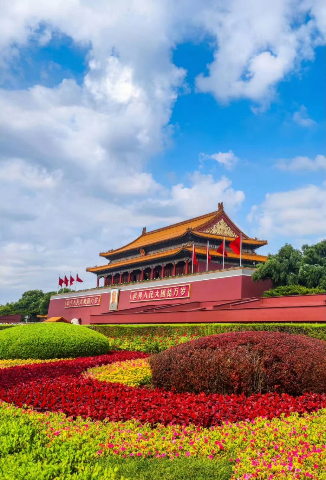 早安中国🇨🇳 