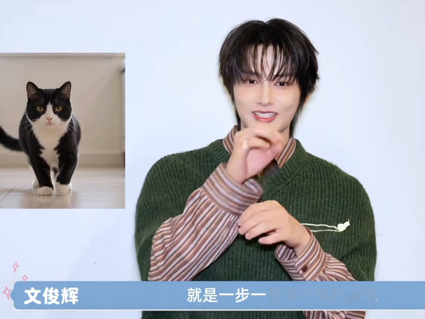 文俊辉你有点太萌了 还是个奶牛猫 ​​​