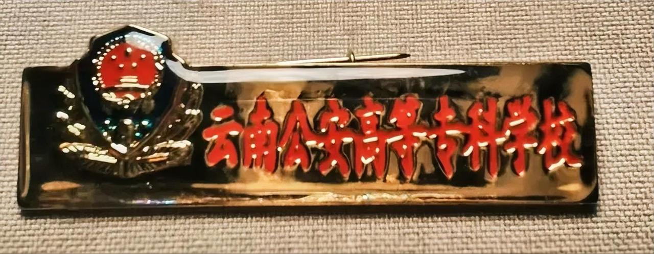 《云南公安高等专科学校》校徽
