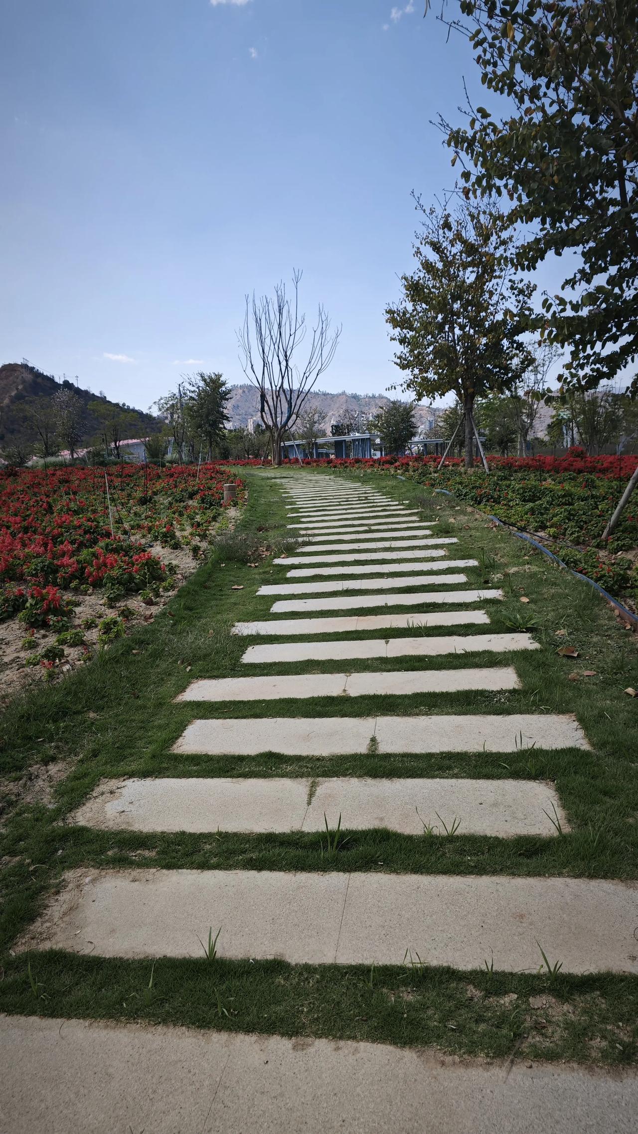 今日分享随手拍照片沿着石板小径漫步，两侧花红草绿，远山与晴空相映成画，一步一景皆