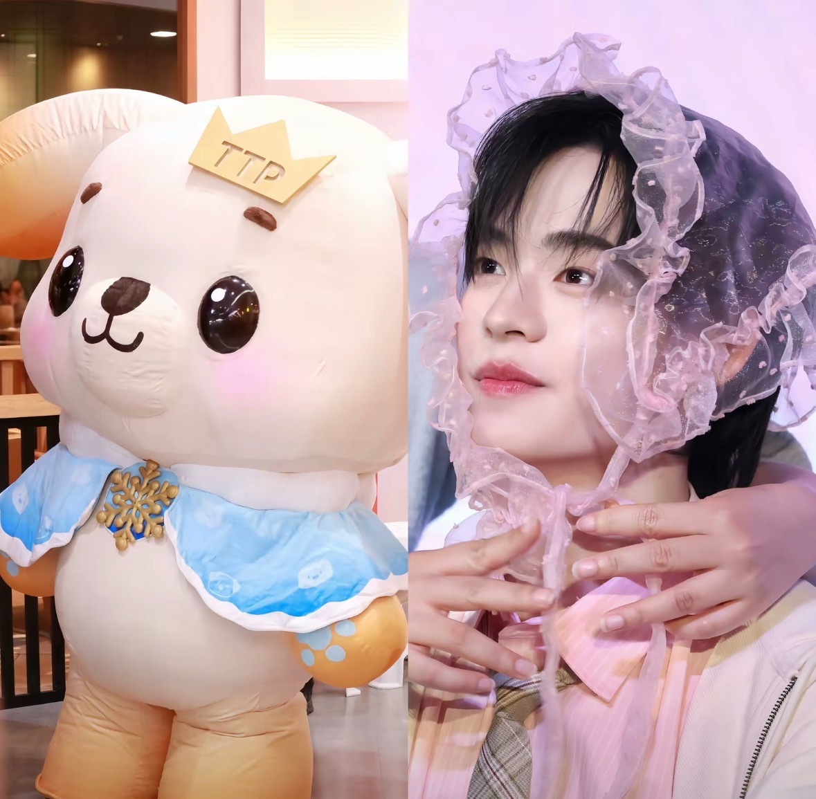 teeteepor  儿子随妈 