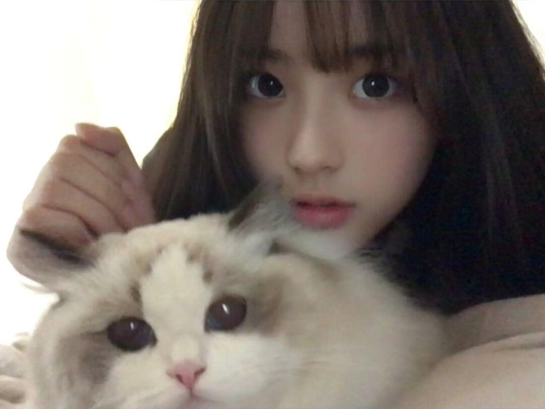 我的小猫幸福的话 我也幸福