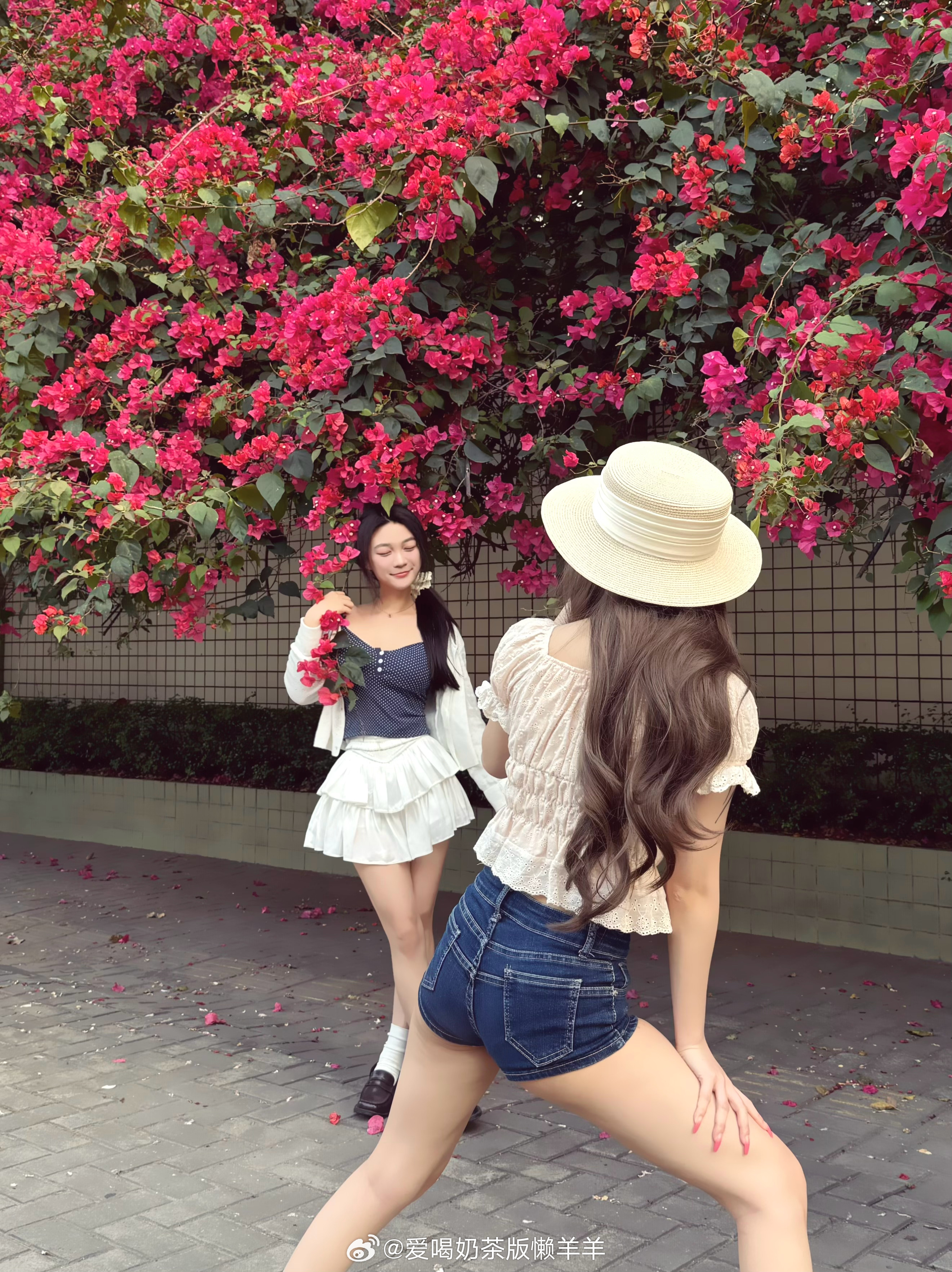 好土好喜欢（花开富贵版🌸🎀 