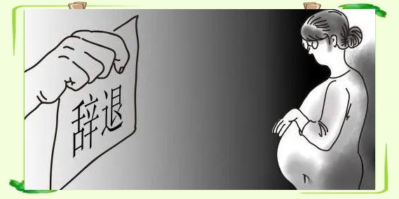 个体老板哭求律师：帮我招个女会计！要清廉能干，还不能一上班就怀孕！律师听完直接懵