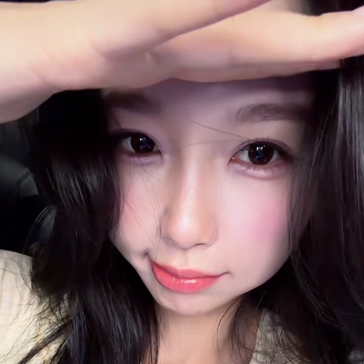 怎样才能亲到这只小萌猪 