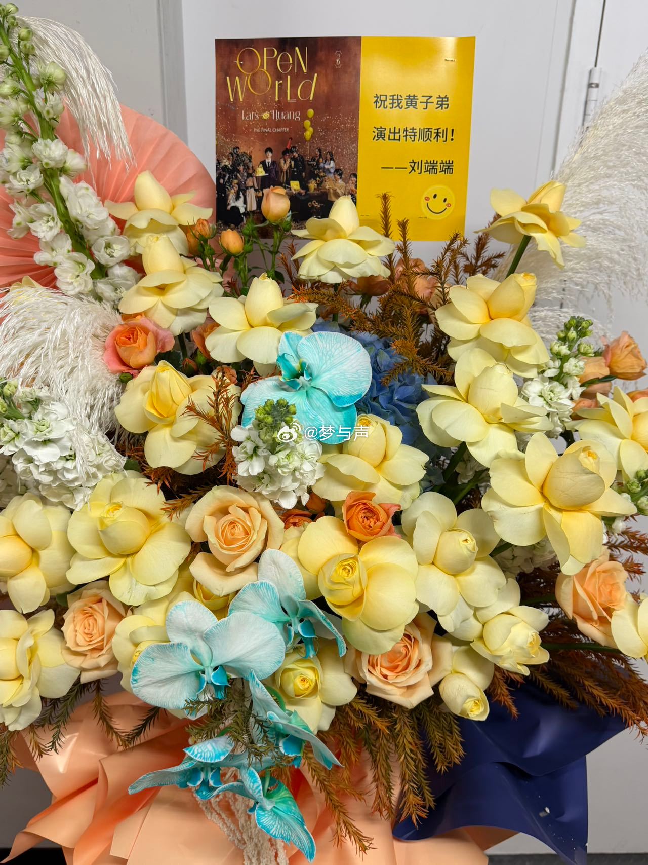 黄子弘凡内娱花篮名人堂 哇晒！黄子弘凡的花篮阵容，比我的购物车还满，太牛了！ 