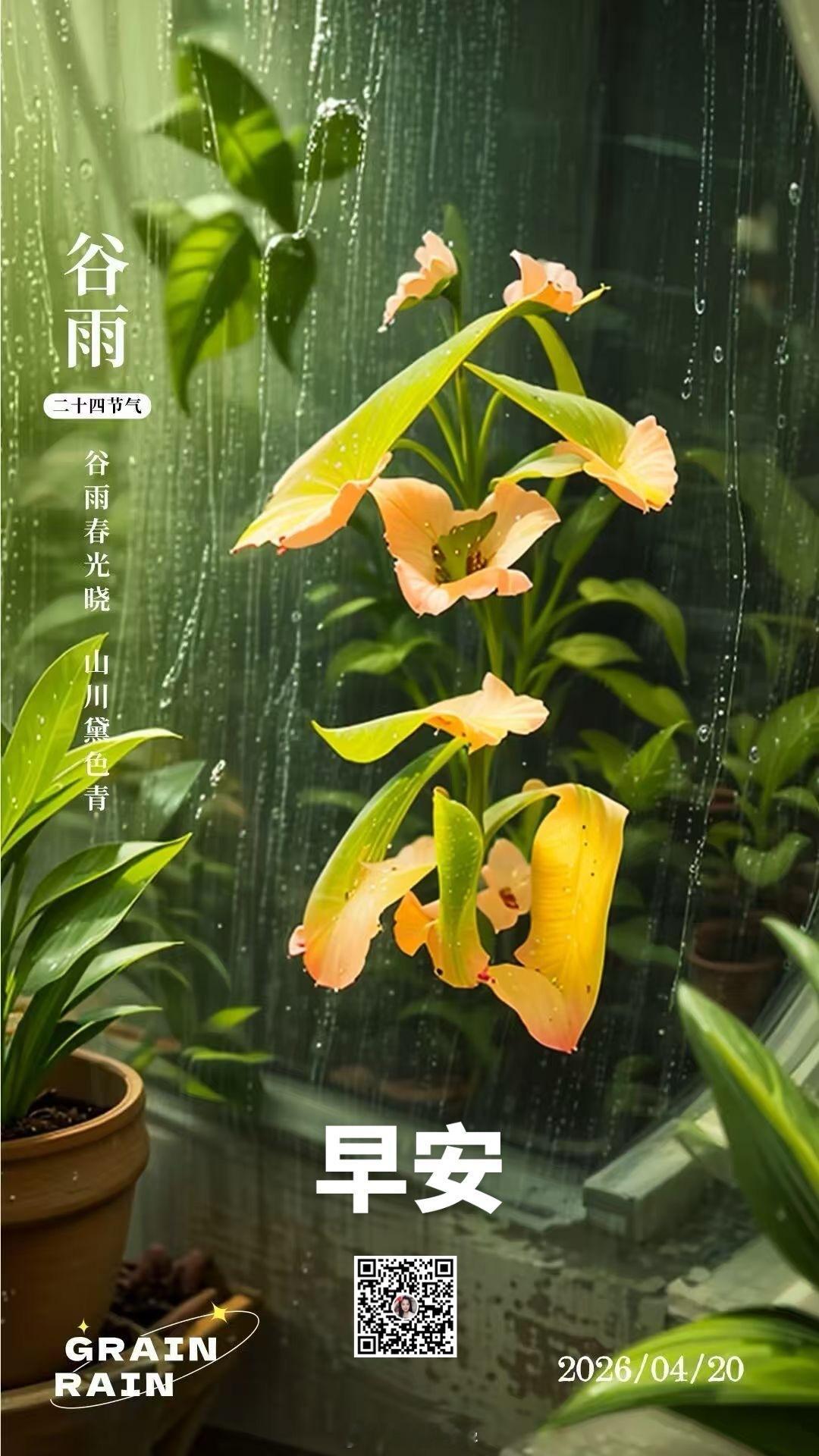 谷雨 作为二十四节气之一，谷雨标志着春季的终结与夏季的启幕。它通常出现在每年的4