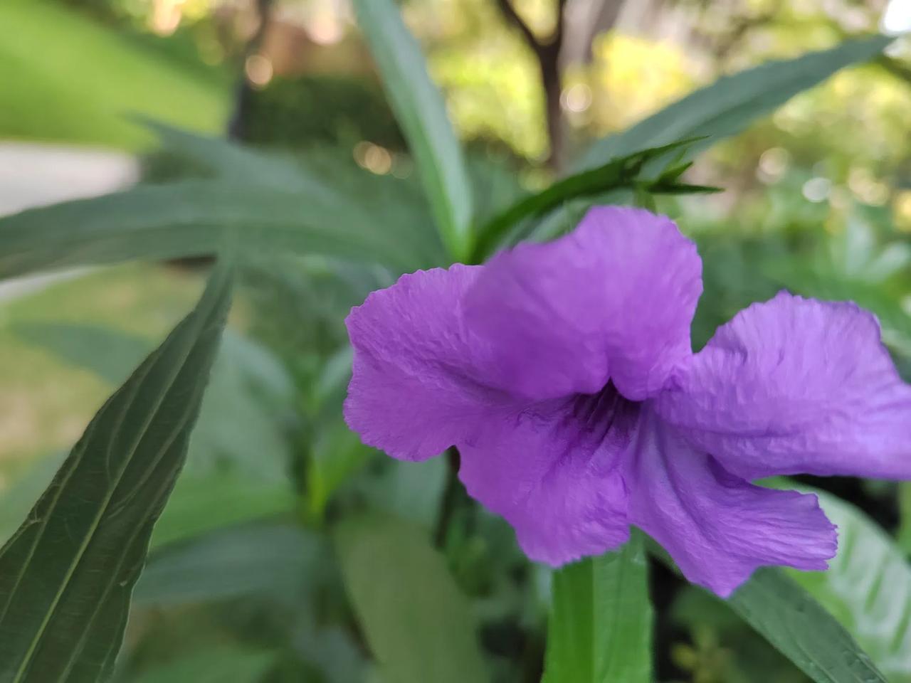#上联: 鸟飞东南西北天;求对下联#花开春夏秋冬季。