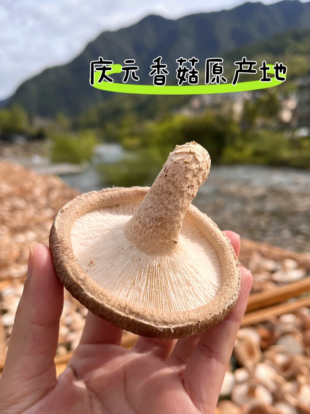 吃了这么多年才知道😭