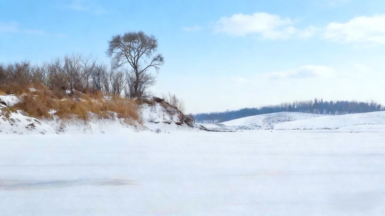 雪岗荒意
 
北方冬日，雪岗静卧于时序之中。雪覆荒坡，如素练铺展；赭黄残草在风中