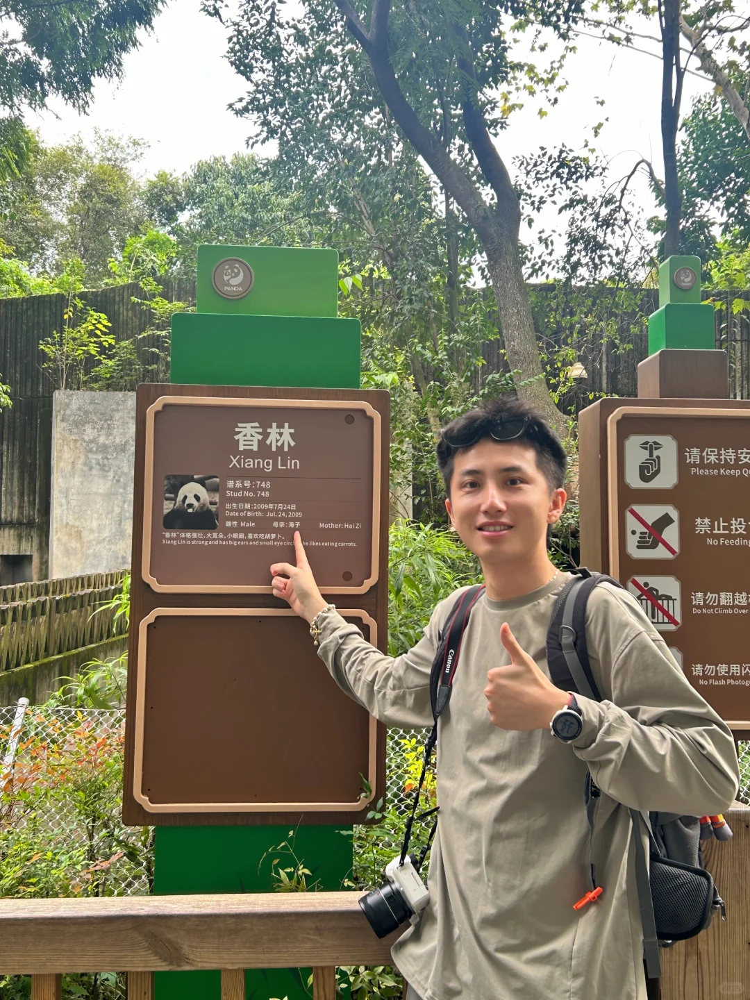 国庆看🐼第一面：下次一定能看到花花🌸