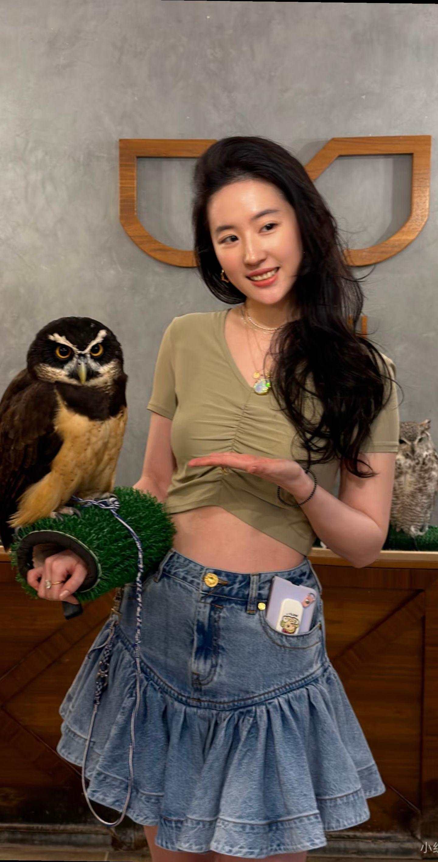 猫头鹰🦉与刘亦菲同框，好可爱。